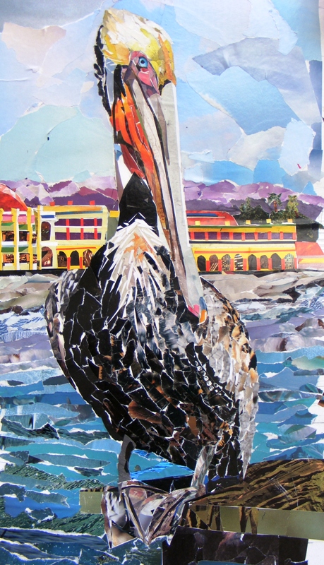 pensive Pelican